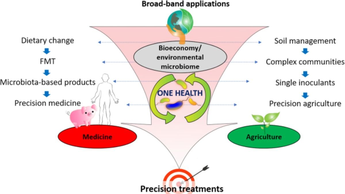 How Microbiome Research is Changing Medicine