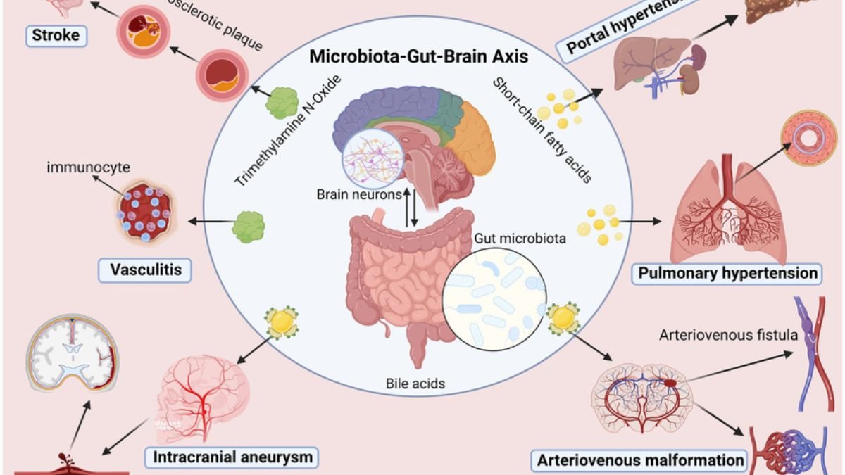 Microbiome and Mental Health: The Future of Gut-Brain Research in Modern Treatments